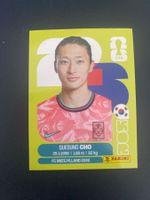 Panini FIFA World Cup Sticker KOR 17
